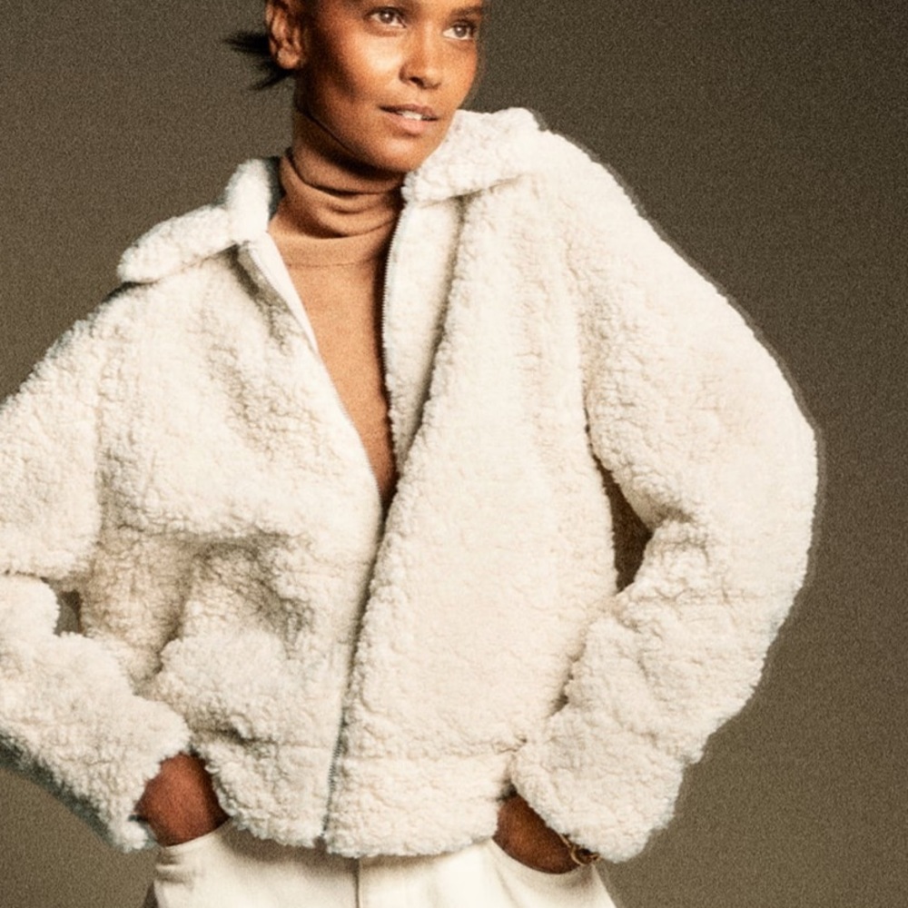 Zara Faux Shearling Jacket